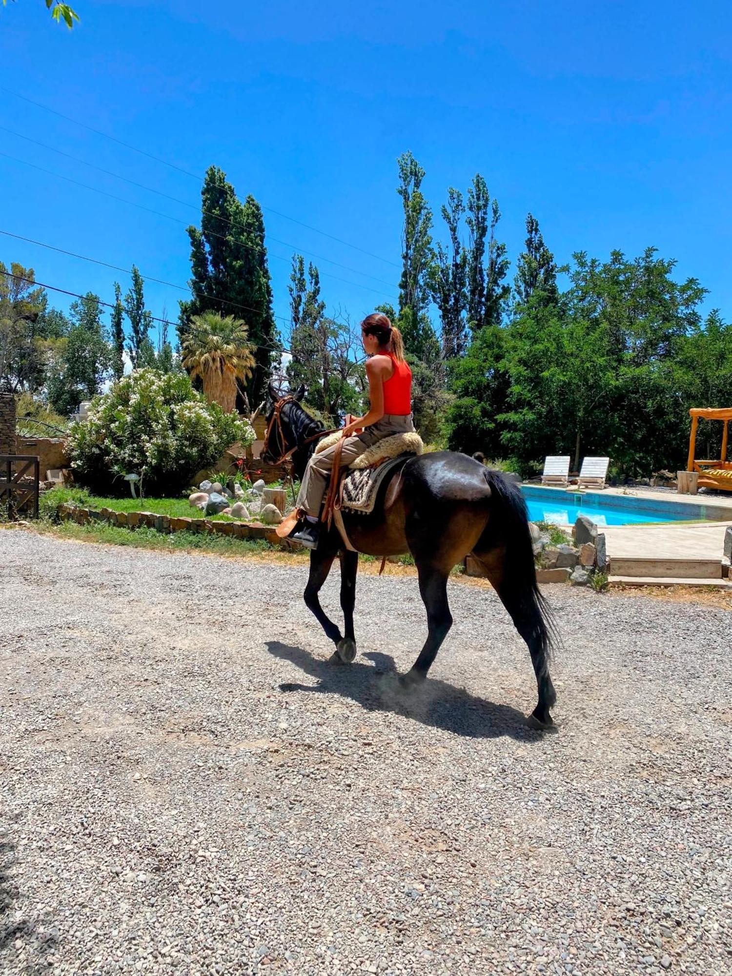 La Comarca Del Jarillal Hotel Las Flores  Kültér fotó